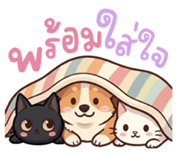 หมาแมวสามสหายจอมแสบ: เจ้าชิ, ถ่าน, สำลี รูปที่ 9