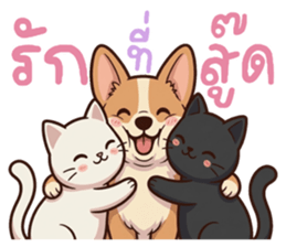 หมาแมวสามสหายจอมแสบ: เจ้าชิ, ถ่าน, สำลี รูปที่ 11