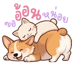หมาแมวสามสหายจอมแสบ: เจ้าชิ, ถ่าน, สำลี รูปที่ 12