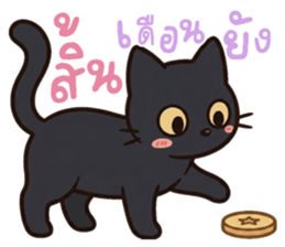 หมาแมวสามสหายจอมแสบ: เจ้าชิ, ถ่าน, สำลี รูปที่ 13