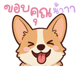 หมาแมวสามสหายจอมแสบ: เจ้าชิ, ถ่าน, สำลี รูปที่ 16