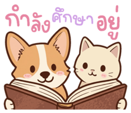 หมาแมวสามสหายจอมแสบ: เจ้าชิ, ถ่าน, สำลี รูปที่ 19