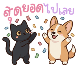 หมาแมวสามสหายจอมแสบ: เจ้าชิ, ถ่าน, สำลี รูปที่ 35