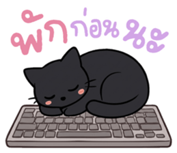 หมาแมวสามสหายจอมแสบ: เจ้าชิ, ถ่าน, สำลี รูปที่ 36