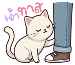 หมาแมวสามสหายจอมแสบ: เจ้าชิ, ถ่าน, สำลี รูปที่ 37
