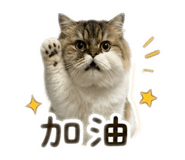 840007132