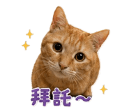 840008282