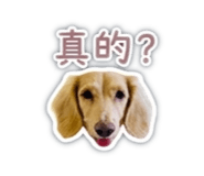 840008682