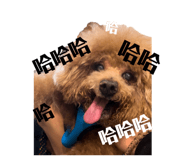 840008822