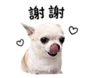 840008866