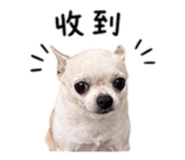 840008868