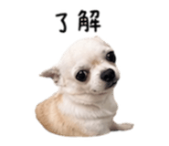 840008869