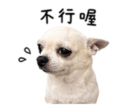 840008871