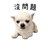840008872