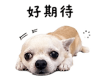 840008875