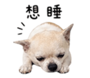 840008876