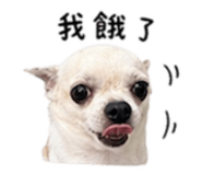 840008878