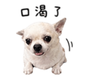 840008879