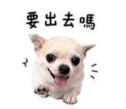 840008881