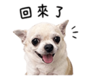 840008882
