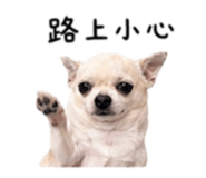 840008883