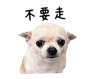 840008885