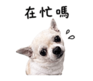 840008886
