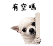 840008887