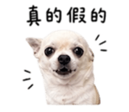 840008888