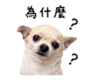 840008889