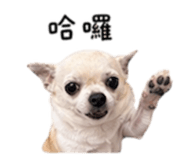 840008890