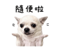 840008892