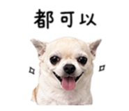 840008893