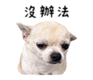 840008894