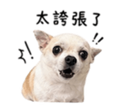 840008896