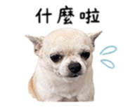 840008897