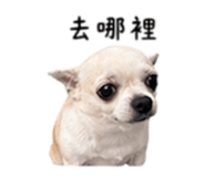 840008898