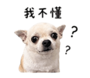 840008899