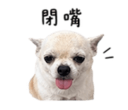 840008900