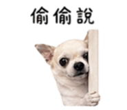 840008904
