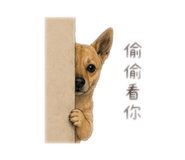 840009312