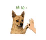 840009313