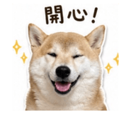 840009440
