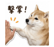 840009445