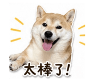 840009447