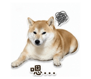 840009448