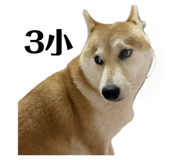 840009454