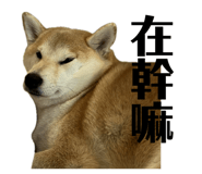 840009457