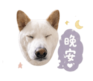 840011098