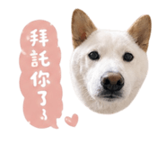 840011107